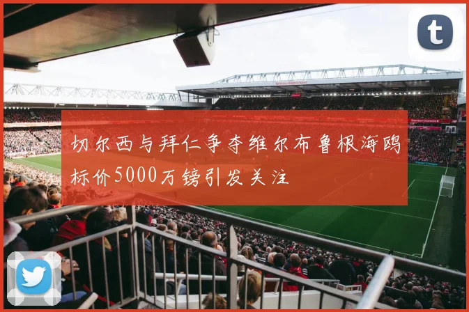 切尔西与拜仁争夺维尔布鲁根海鸥标价5000万镑引发关注