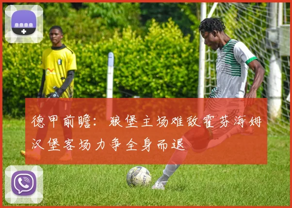 德甲前瞻：狼堡主场难敌霍芬海姆汉堡客场力争全身而退